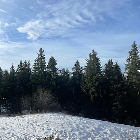 Chamrousse A 50M Des Pistes Appart 4/6 エクステリア 写真