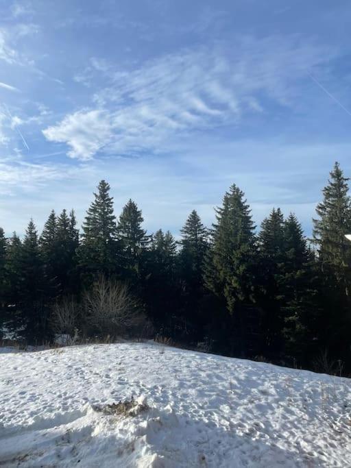 Chamrousse A 50M Des Pistes Appart 4/6 エクステリア 写真